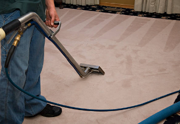 Exploring the Enchantment of Professional Carpet Cleaning Services